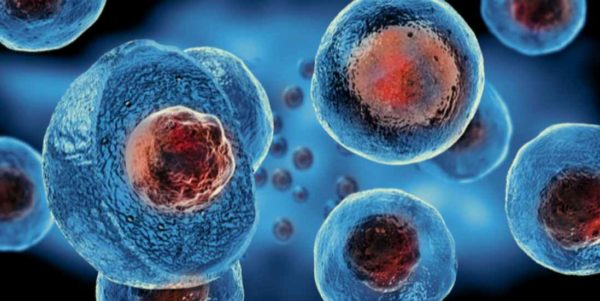 Cell & Gene Therapy | Royale International